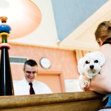 Mercure Szekesfehervar Magyar Kiraly Dış mekan fotoğraf